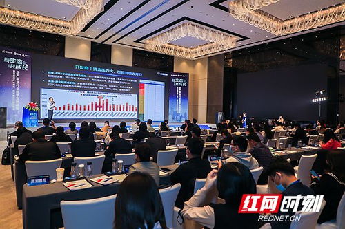 房產湖南站正式啟航，深耕代理服務助力湖湘地產新篇